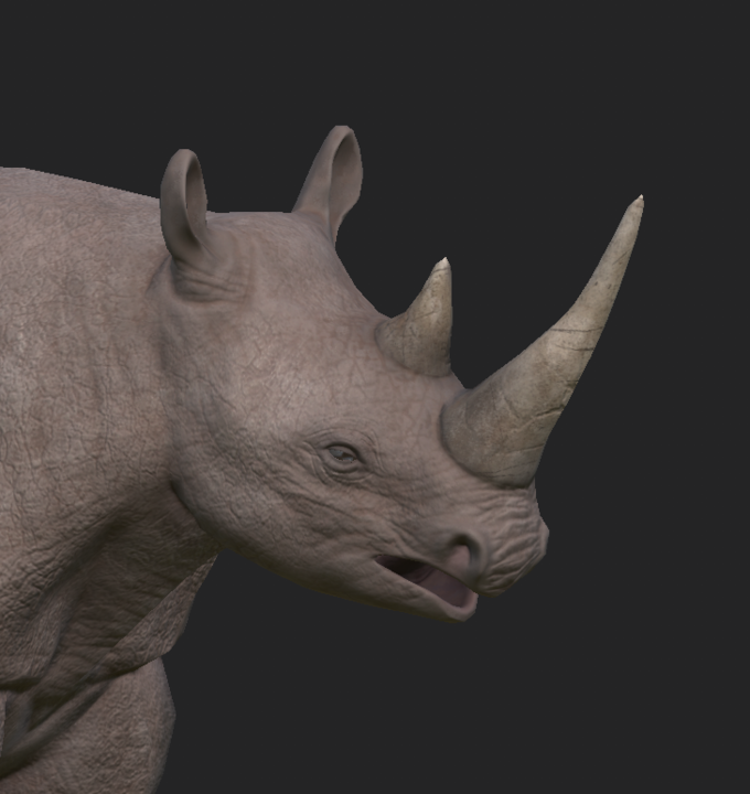 Closeup of 3D model of a rhino in ZBrush