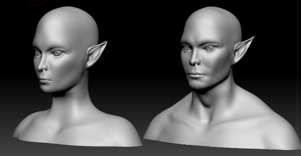 Heads of a 3D female and male base meshes.