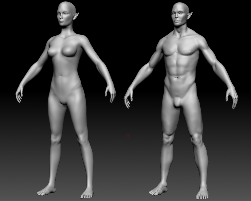 Male and female base mesh sculpts