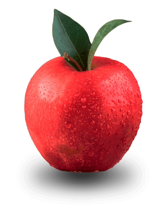 Apple sticker