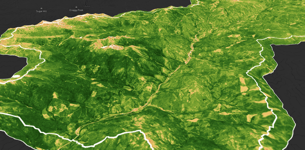 NDVI for a basin in California