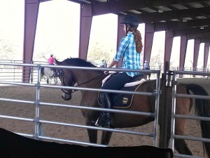 One of our all-time favorite LOPE graduates, Wooden Phone (now named “Watson’) was ridden in Horsemanship by his adopter Suzanne.