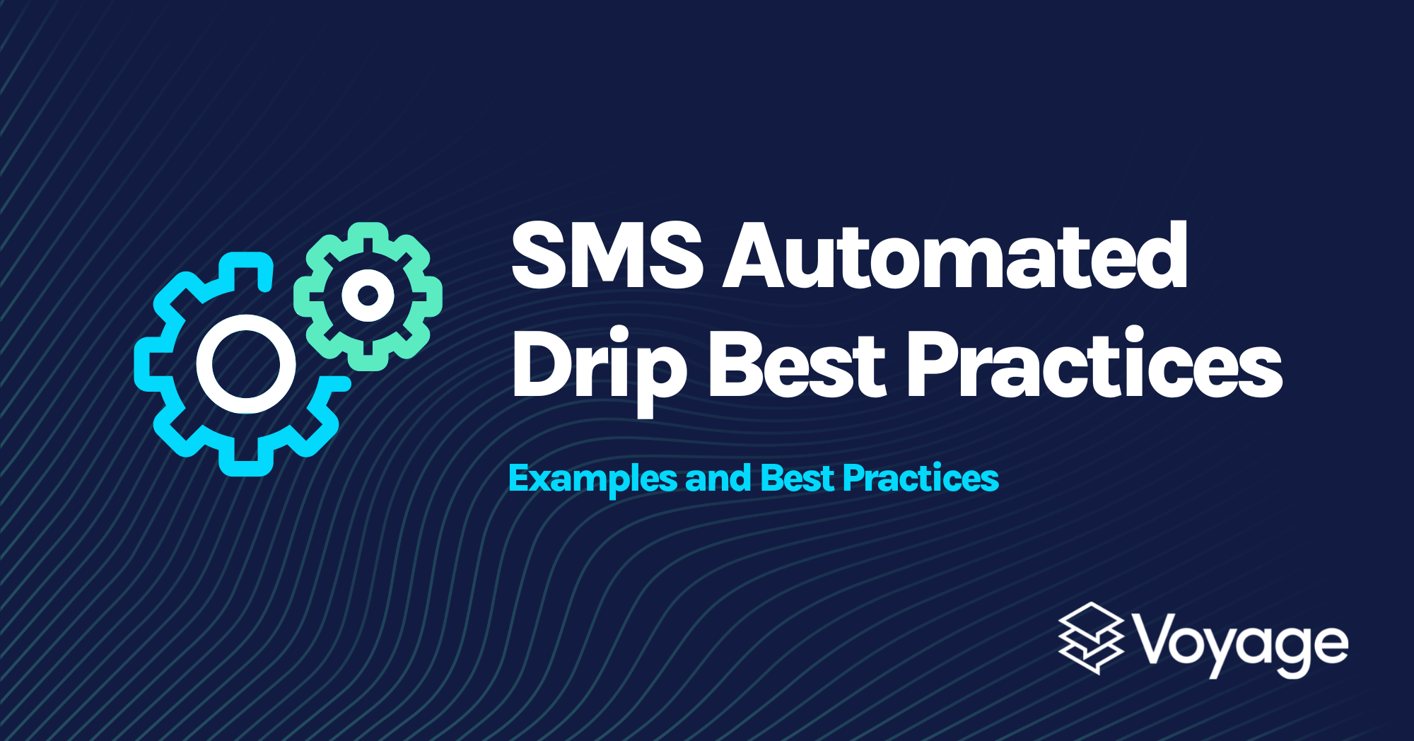 SMS Automated Drip Best Practices