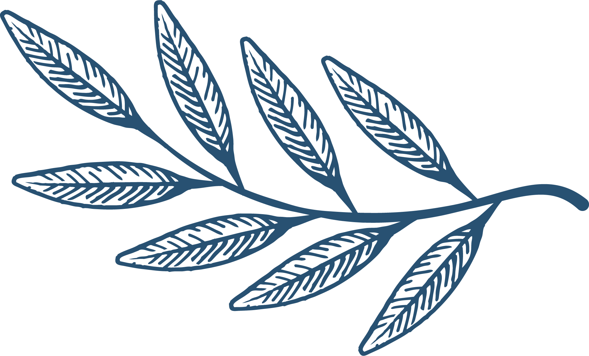 Middlefield Oaks Senior Living Cottage Grove, Oregon