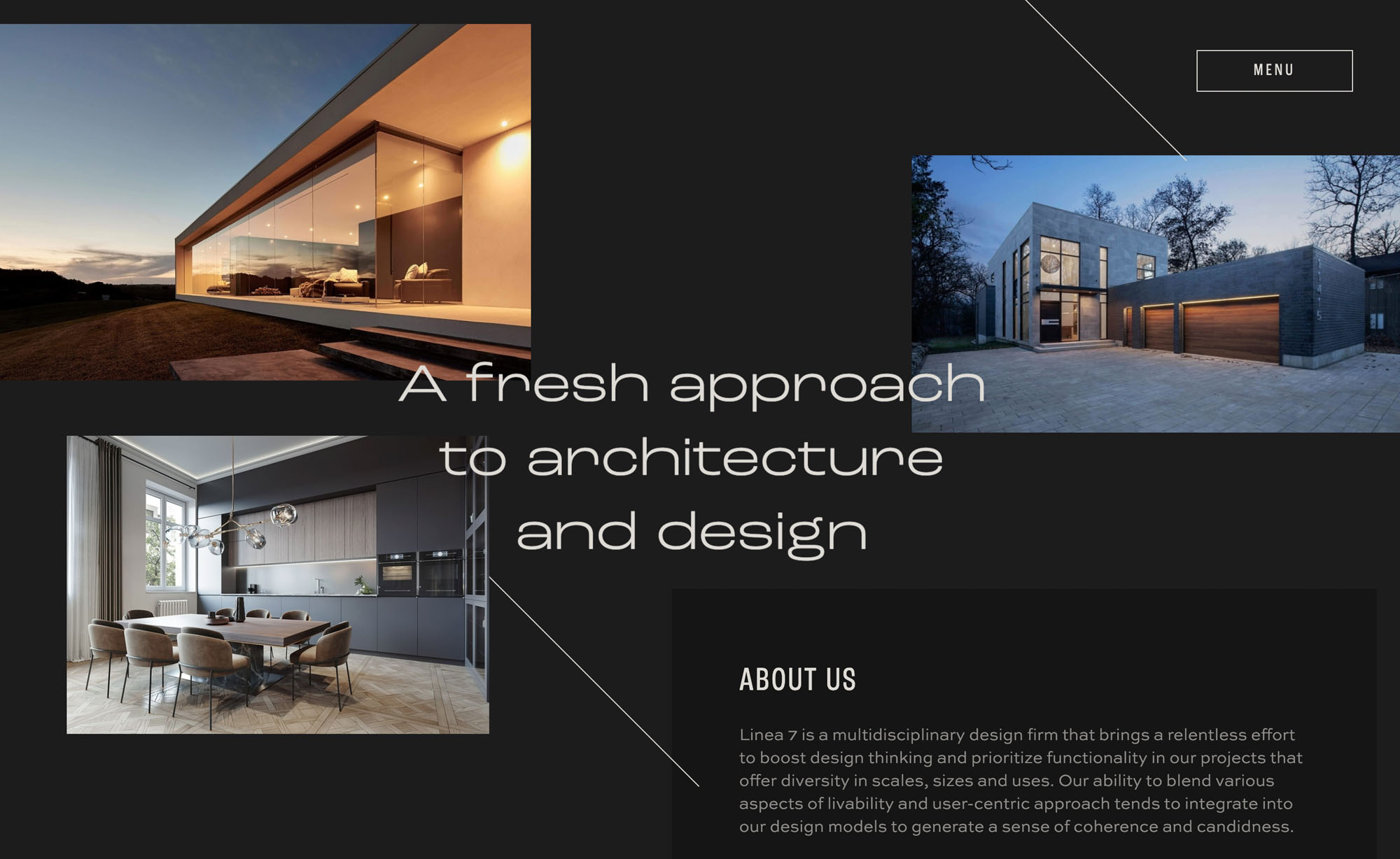 Website Screenshot - about section
