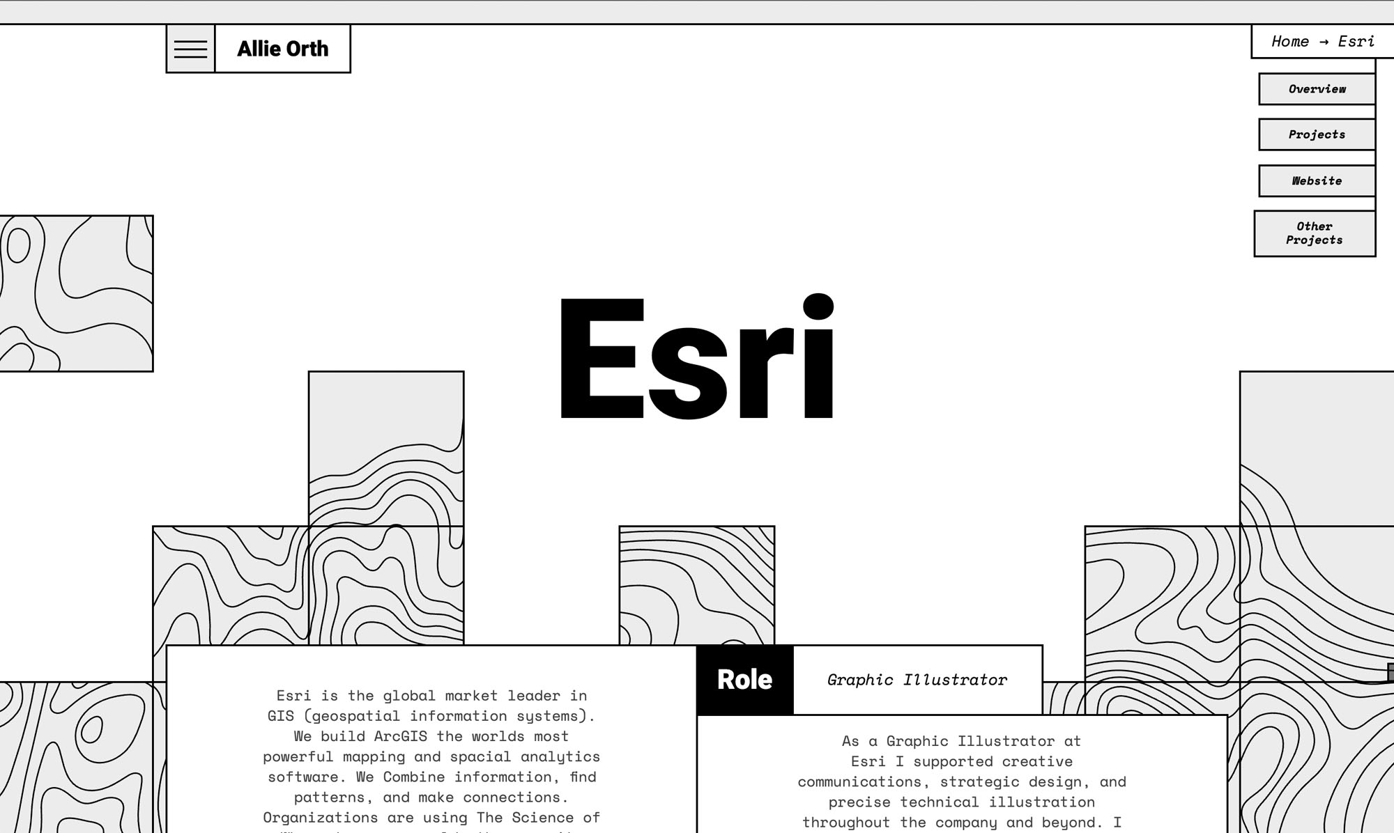 Esri page screenshot