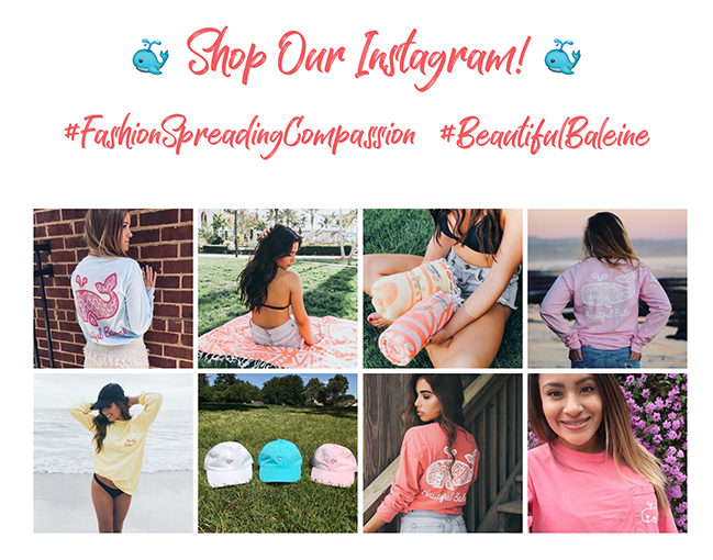 instagram gallery