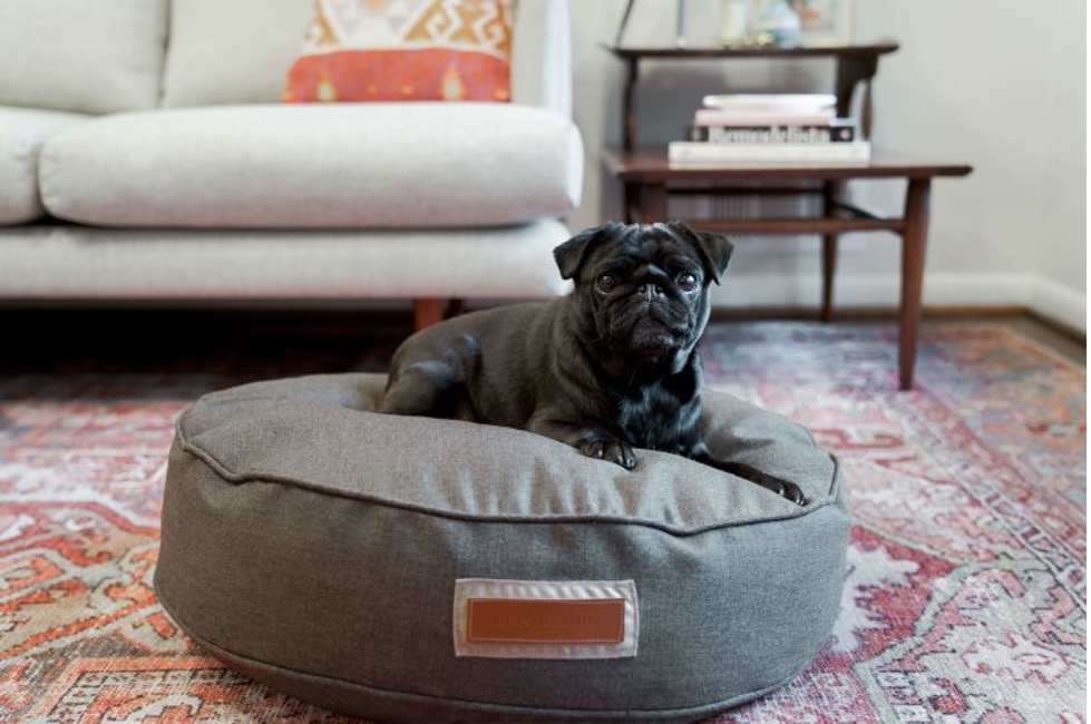 pet bed