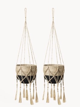plant hanger