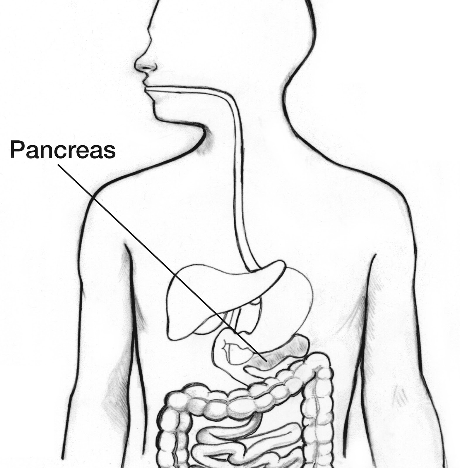 Pancreatitis (1)