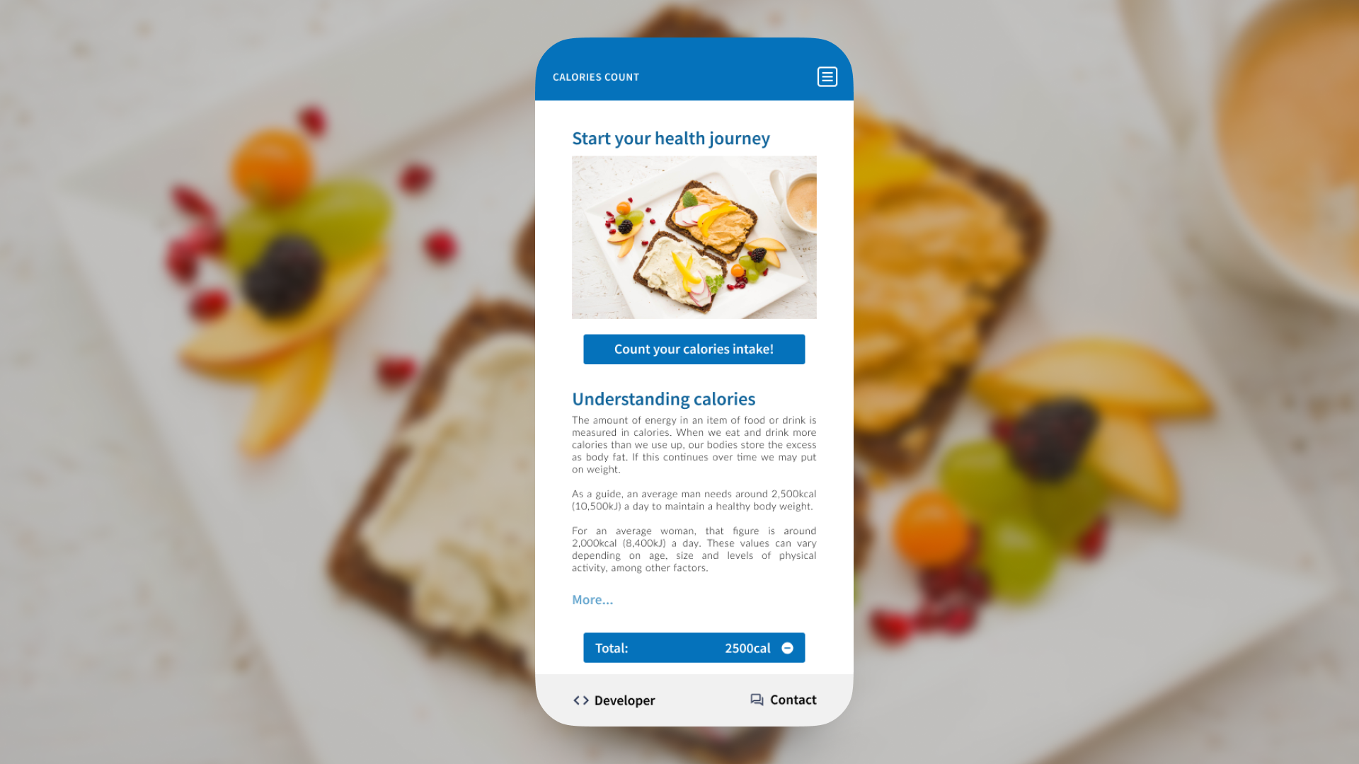 Mock up of Calories Count web-app