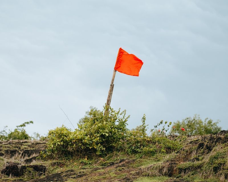 10 Best PreMed Schools in the US Complete 2023 List