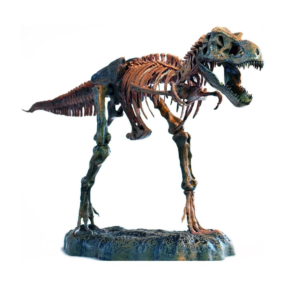 T-Rex Skeleton 36" Scale Replica Model