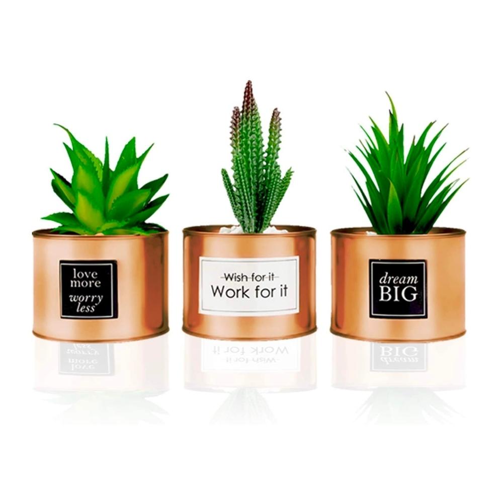 Office Desk Plants