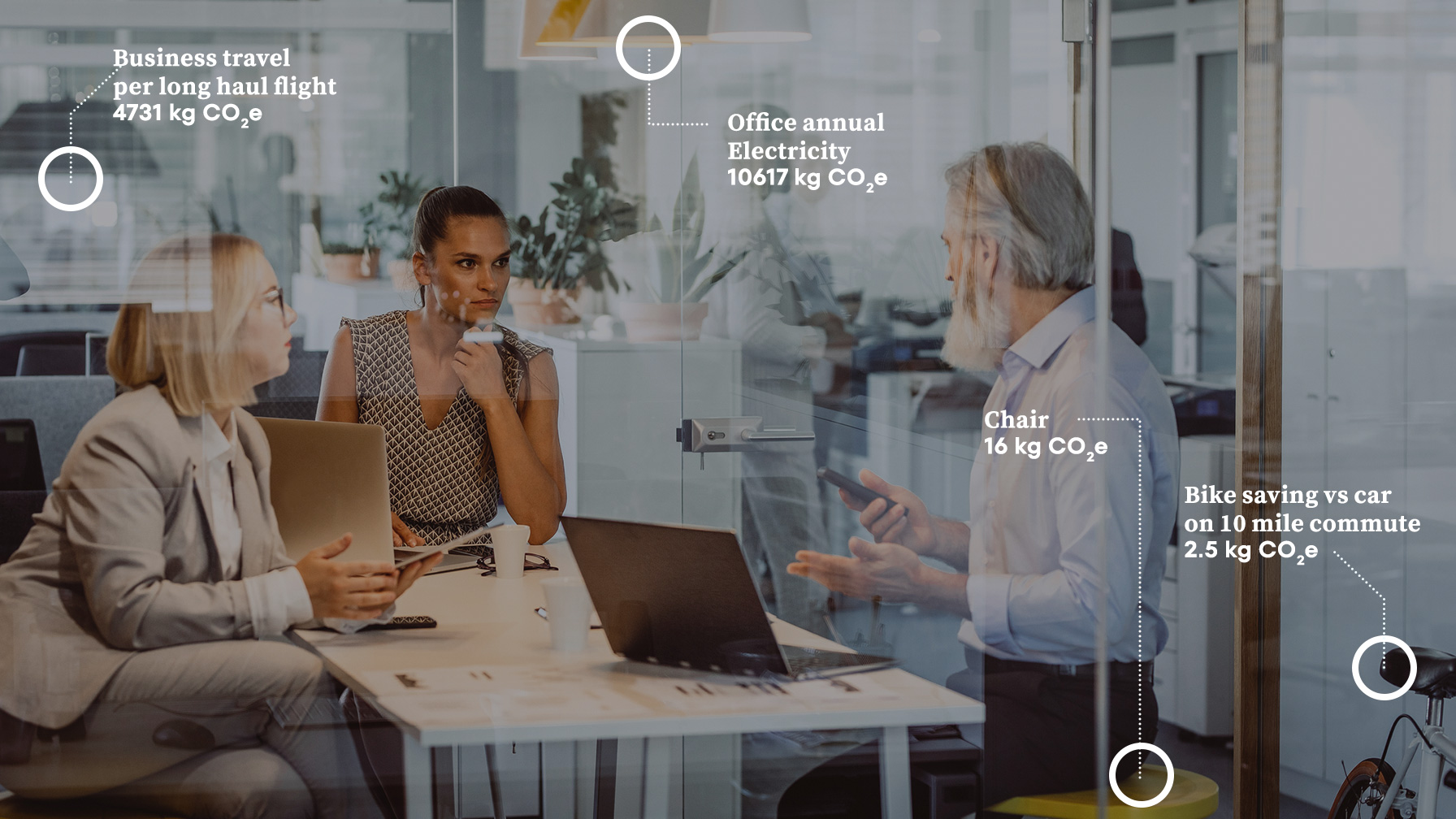 Accountants working in office