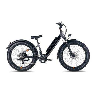 RadRover 6 Plus 750W E-Bike