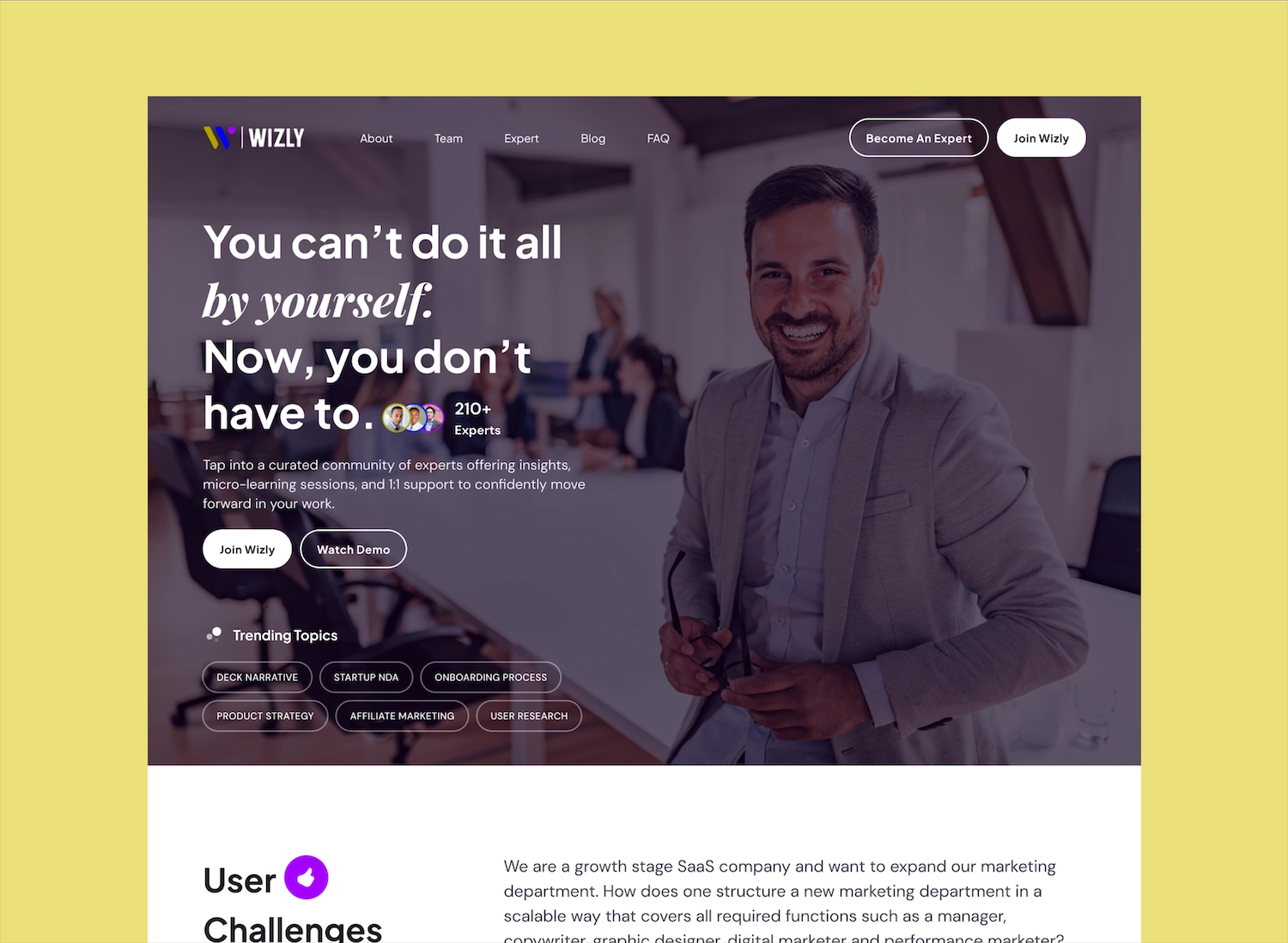 Webflow development project - Wizly