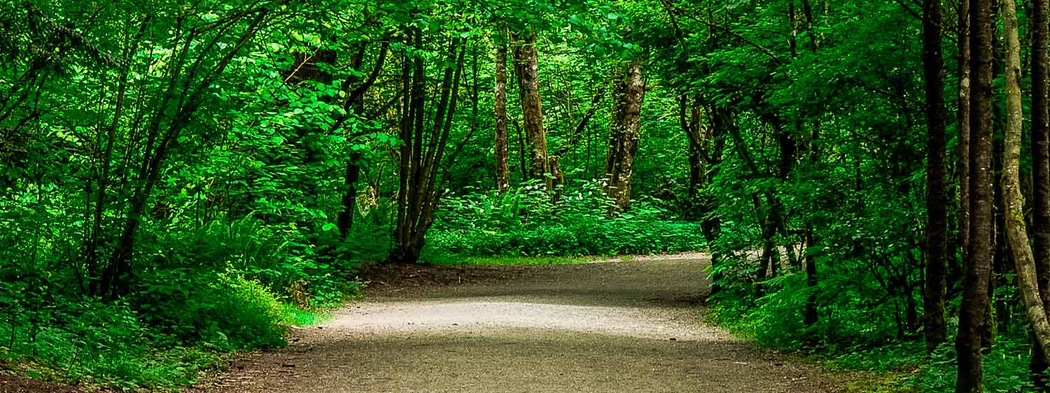 Campbell Park in Langley, BC