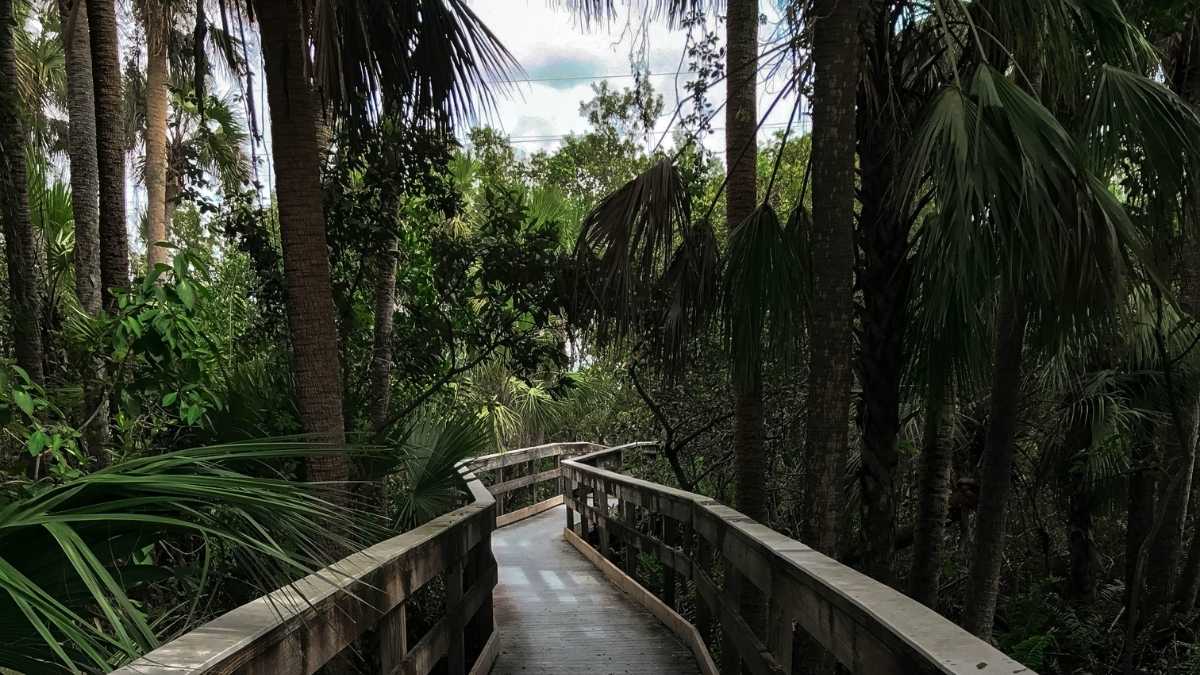 Travel insurance for Florida's Snowbirds