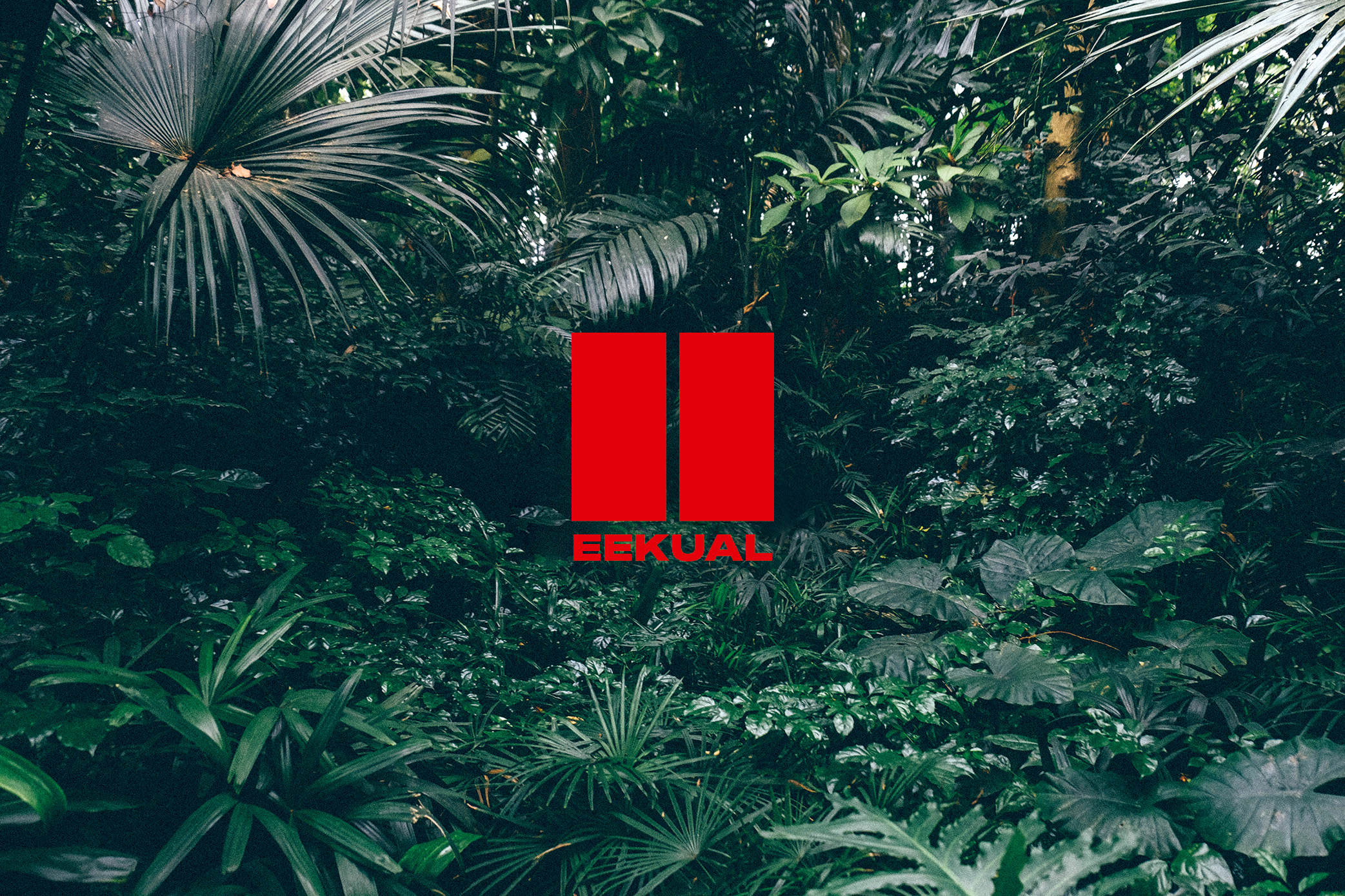Jungle