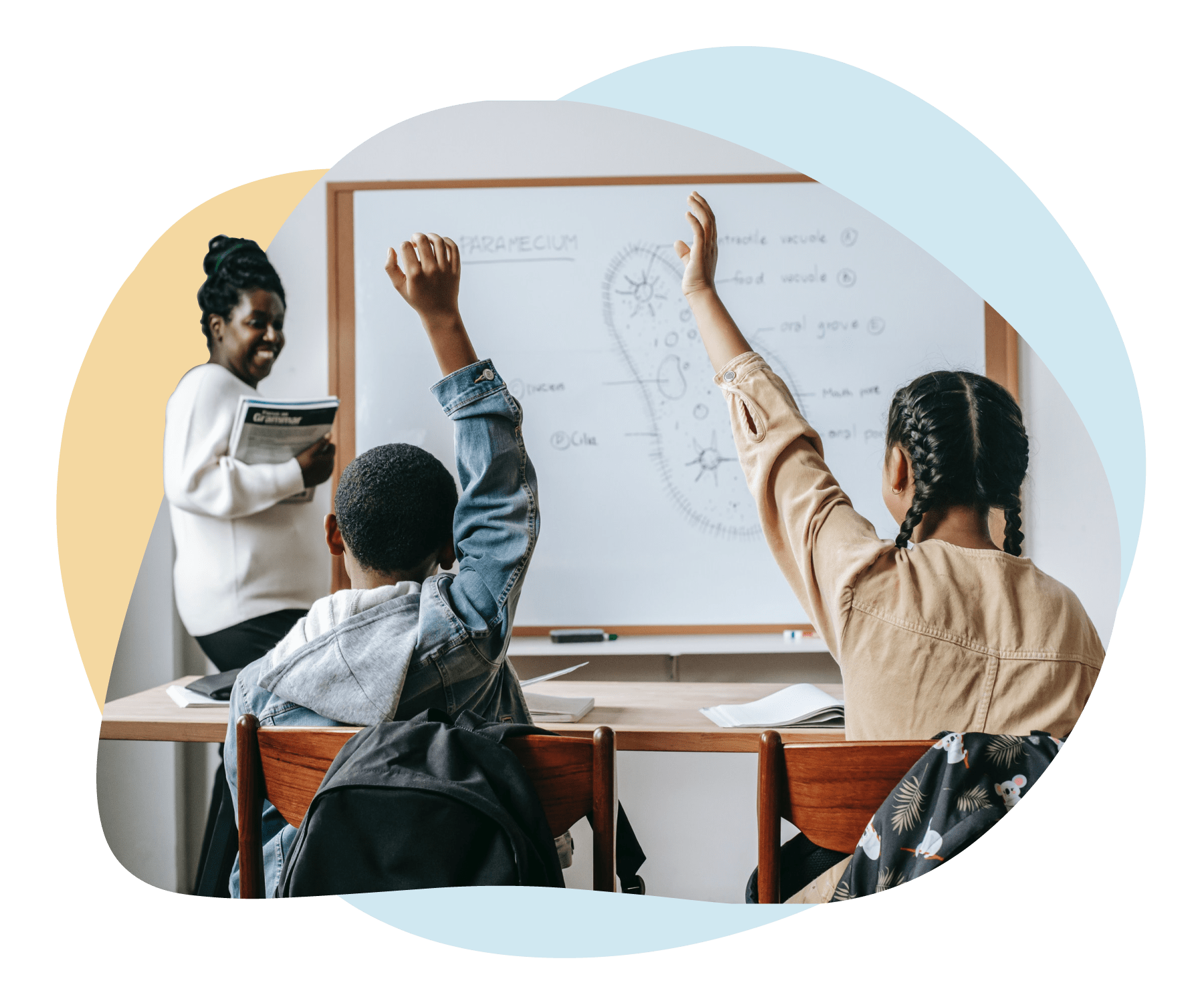 Schools & Educators Craft Education