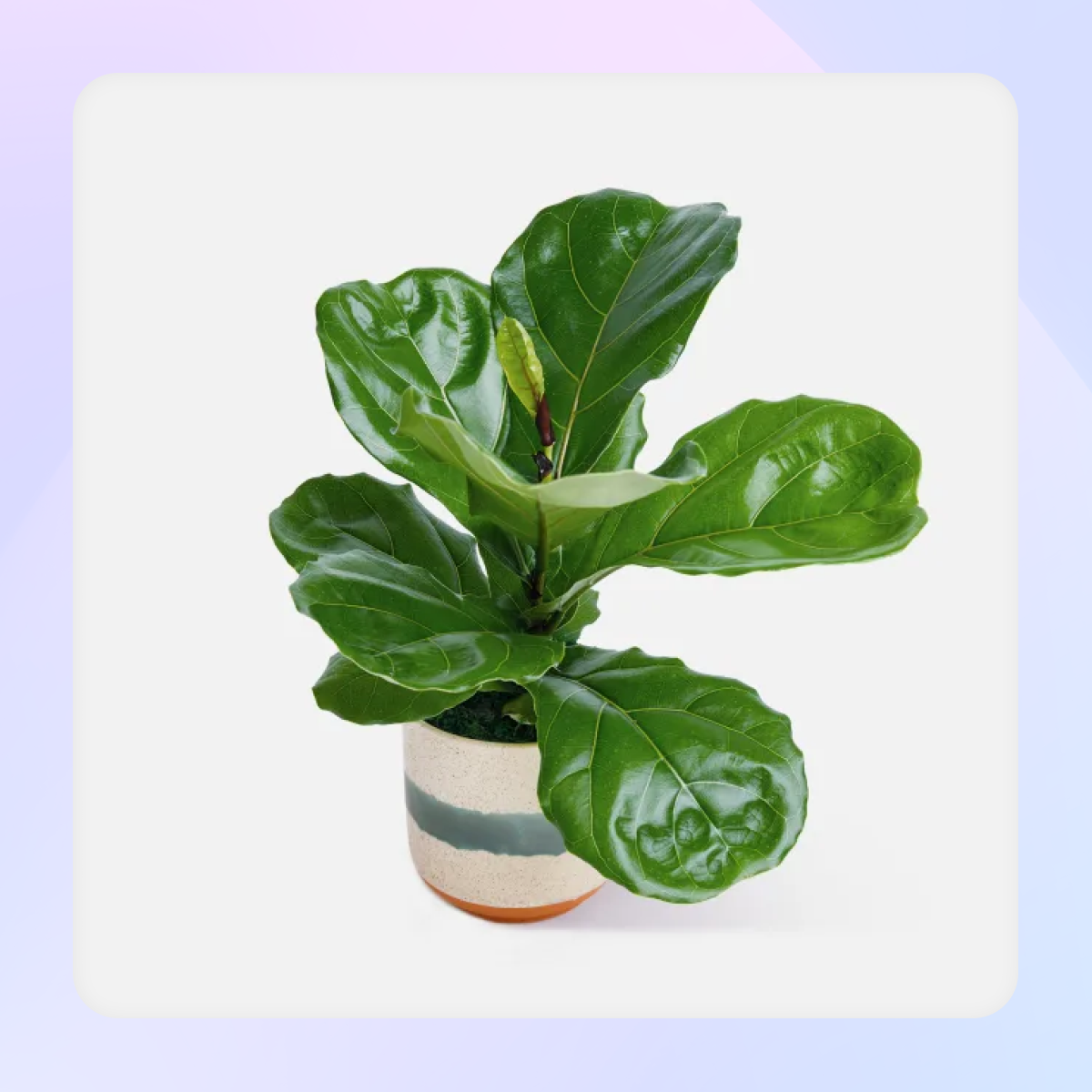 The Best Corporate Gifts for Client Appreciation