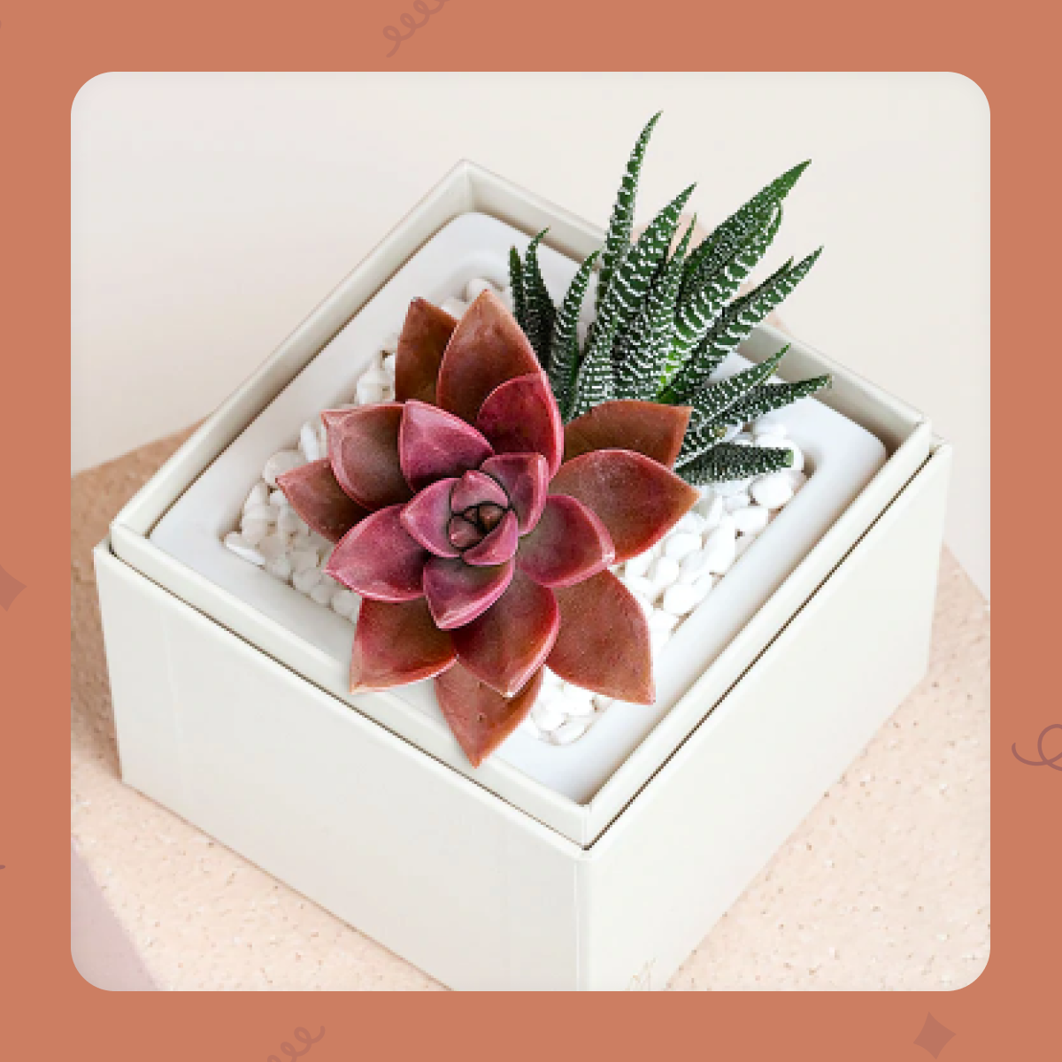 https://www.ongoody.com/business/browse/brands/lula-s-garden/glow-garden