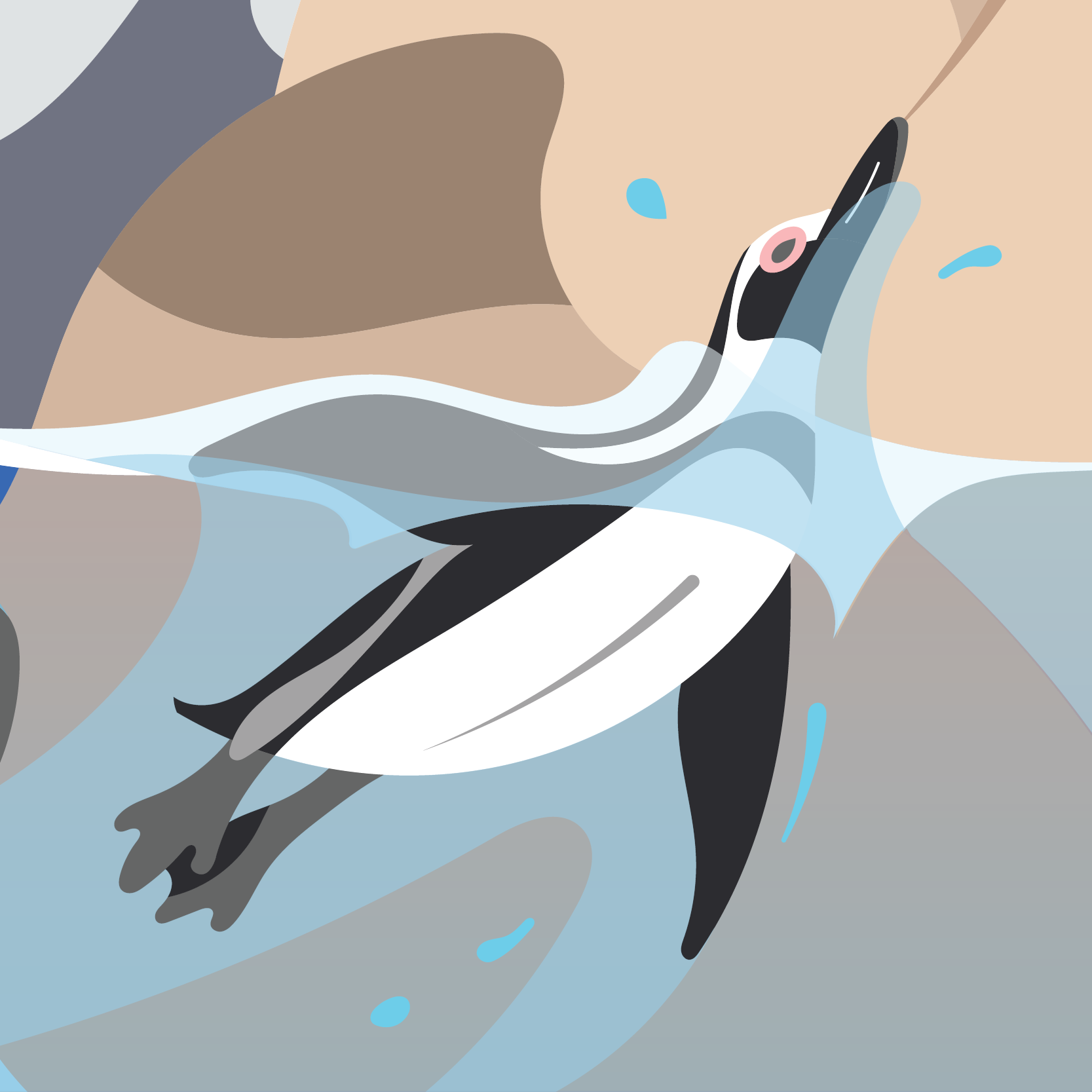 Illustration in flat style of an African penguin swimming and coming up for air. 