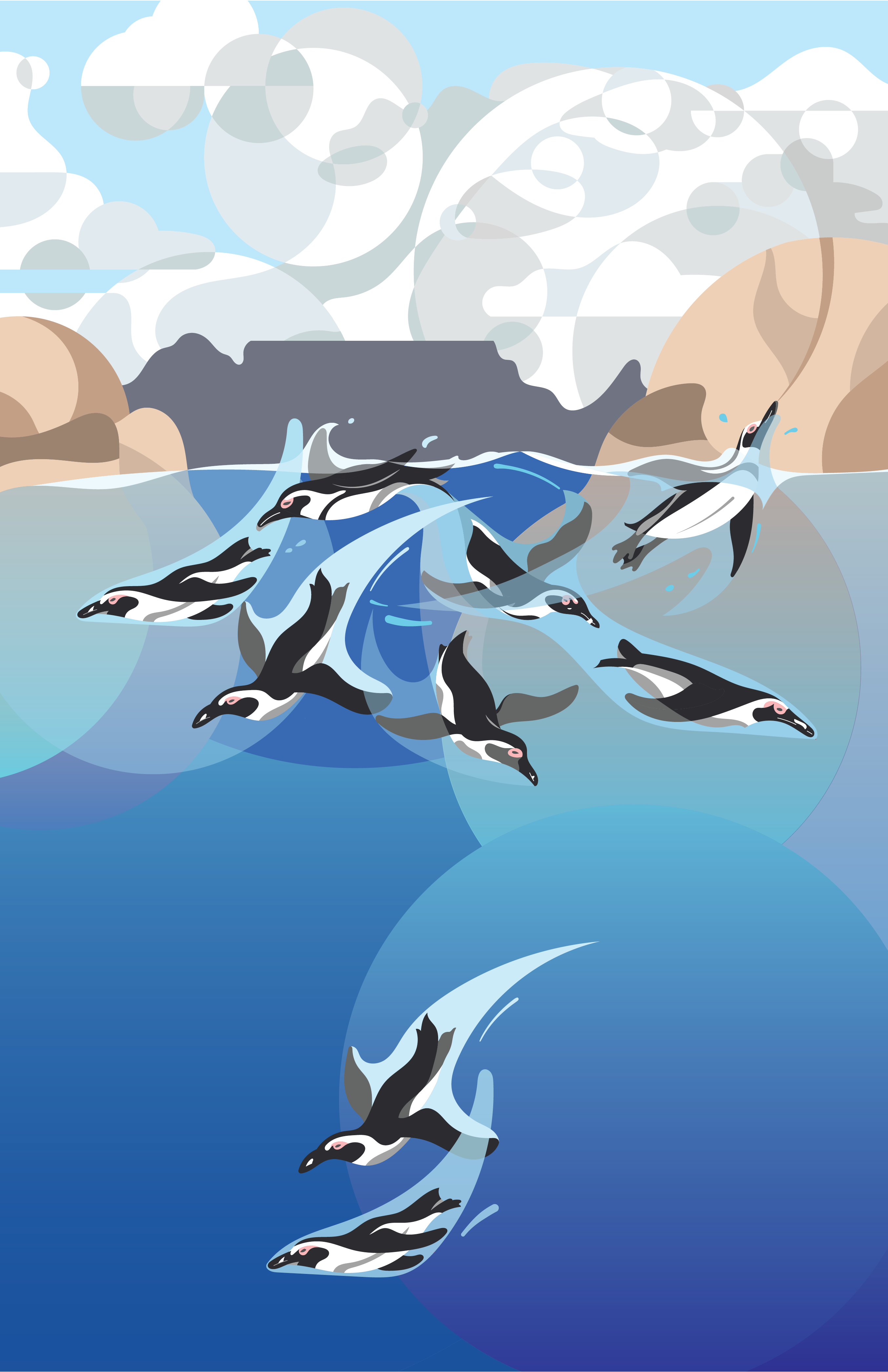 Grand illustration of African penguins swimming, diving and enjoying themselves in the waters of Boulders Beach, Cape Town, South Africa, with Table mountain at the back. In a flat style with gradient effects.