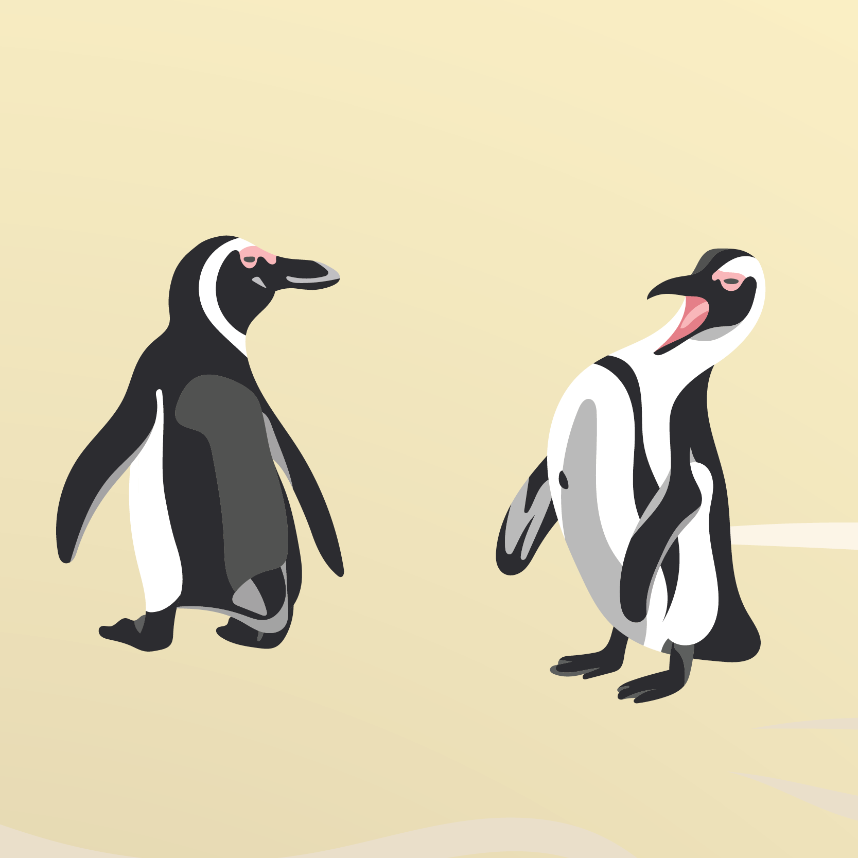Flat vector illustrations of funny African penguins on a sandy beach.