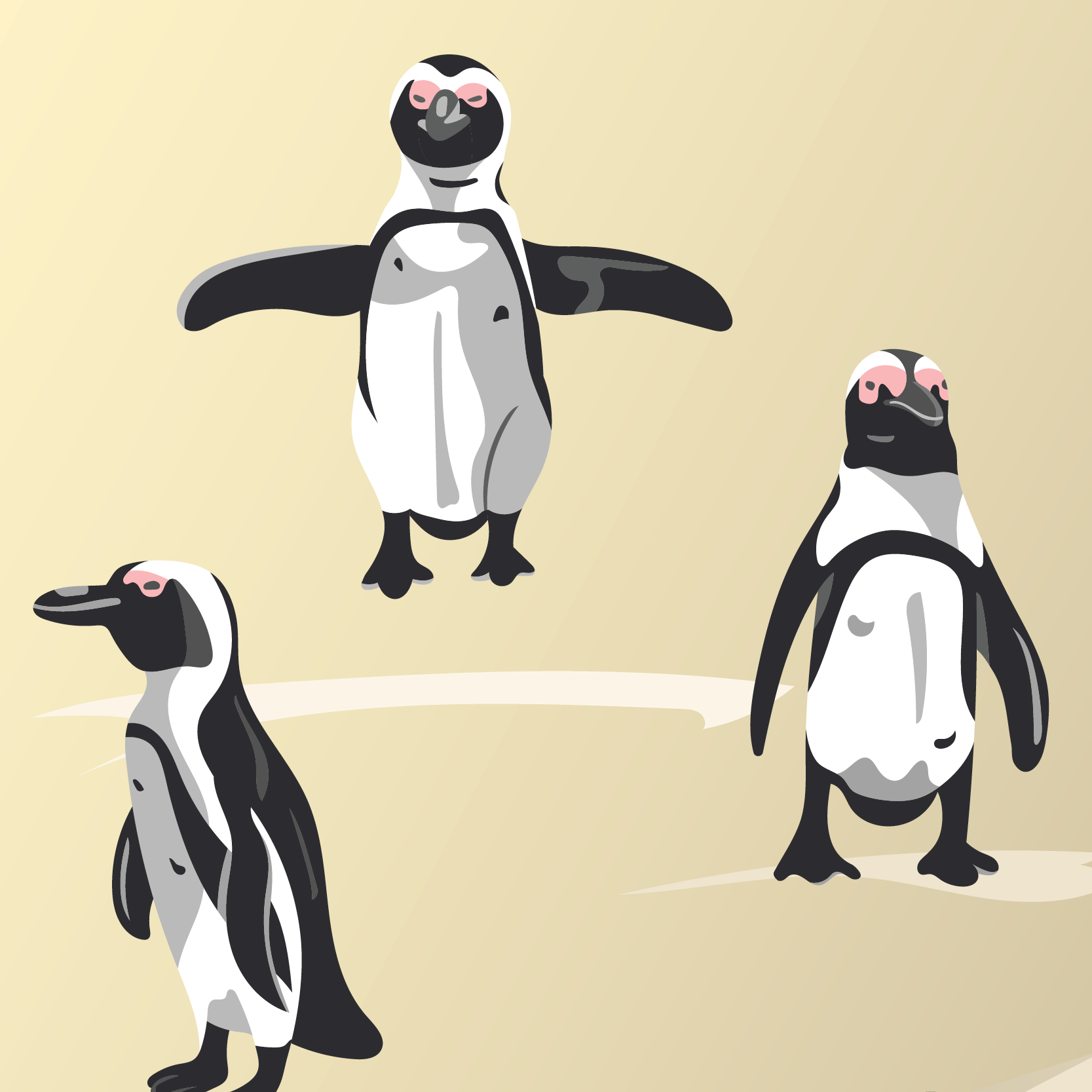 Flat vector illustrations of funny African penguins on a sandy beach.