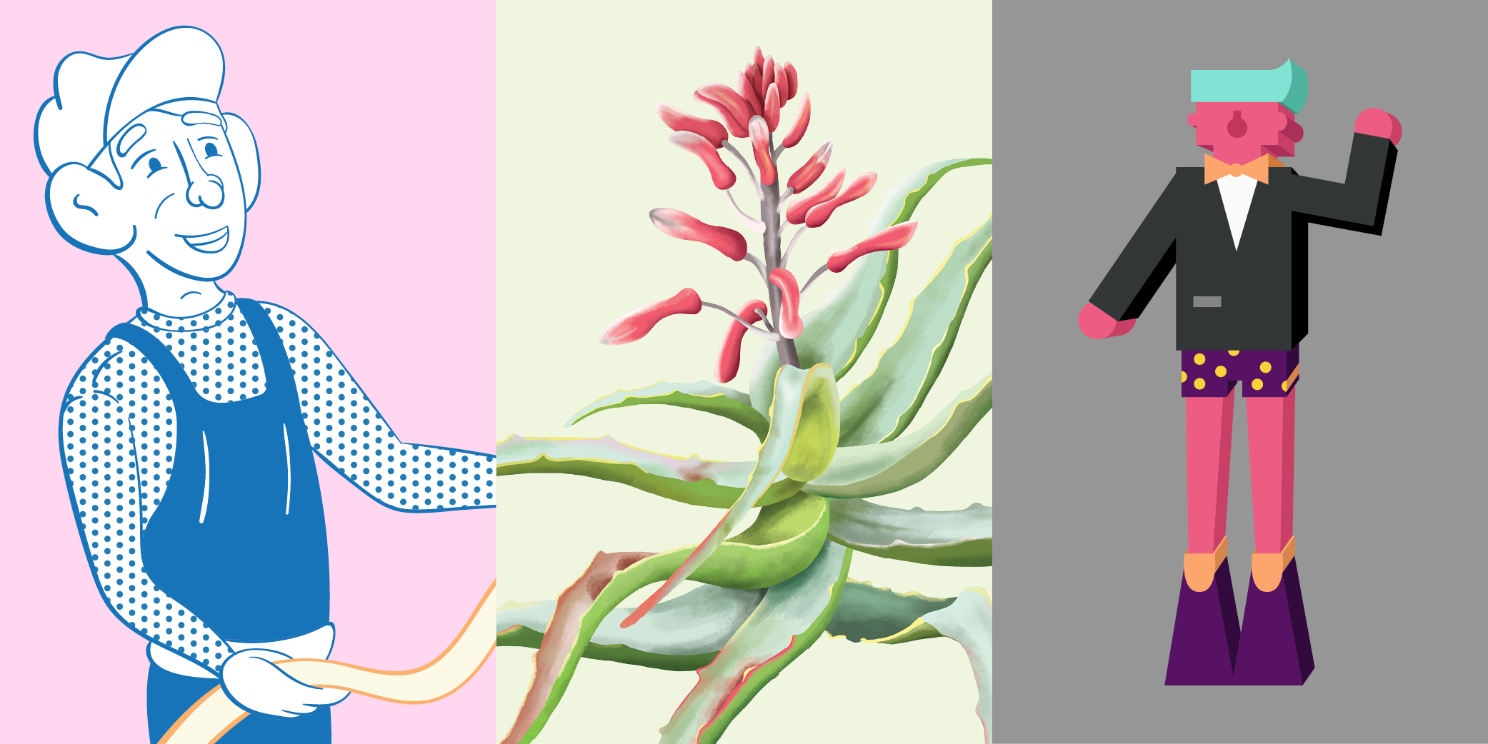 Various ilustrations by hamerkop.studio, a smiling man in a retro style, a digital painting of an aloe vera plant, a business man in swimming trunks in a funky flat style.