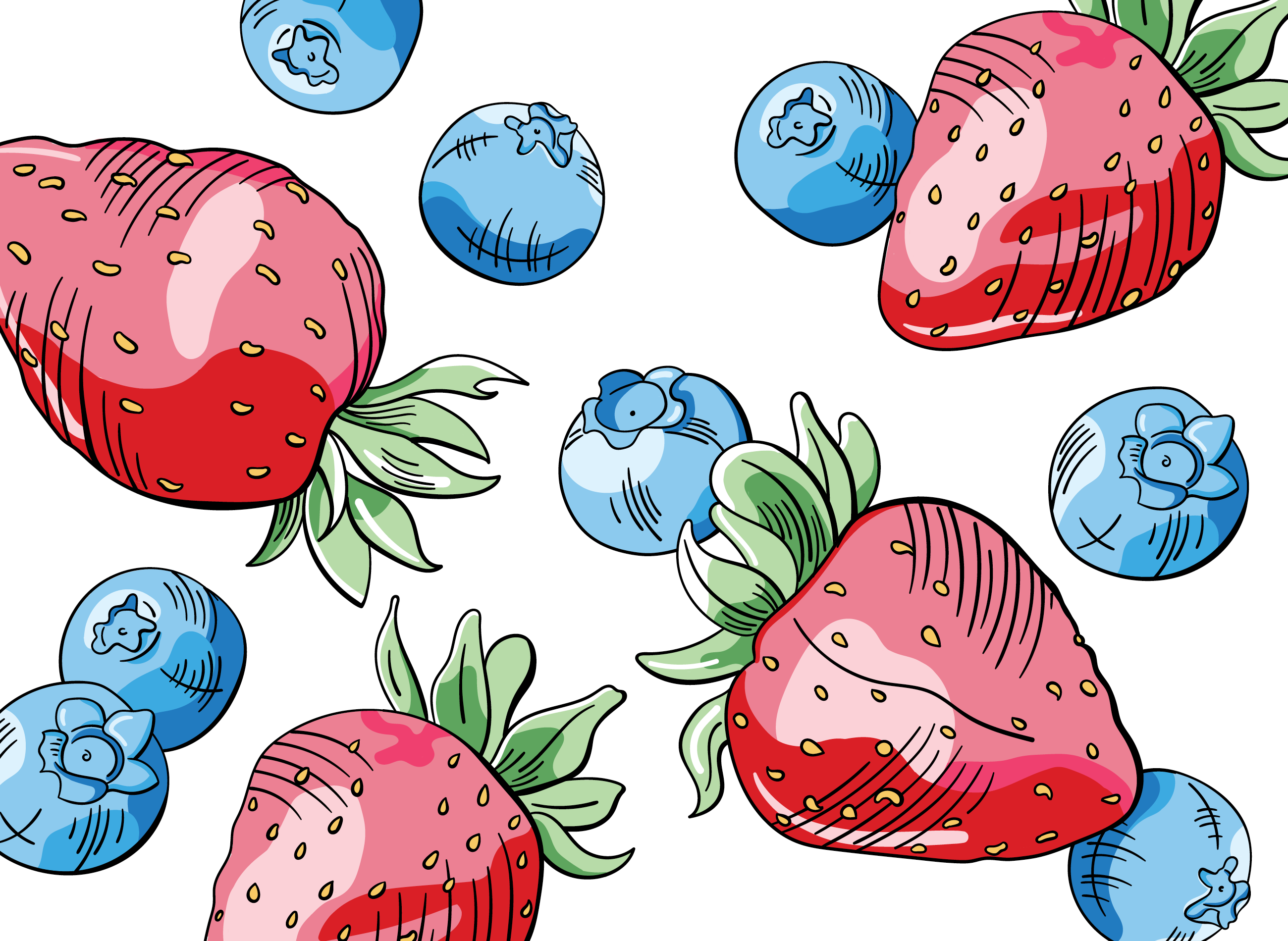 Beautiful line illustrations of summer fruit, strawberries and blueberries. 