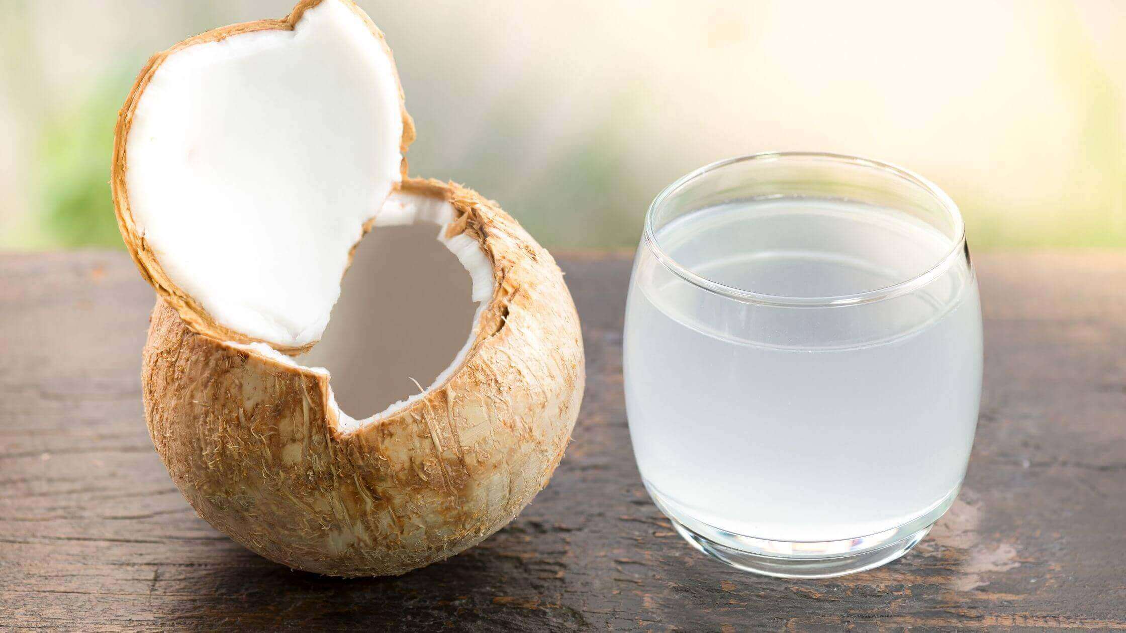 Can My Dog Drink Coconut Water? Yes, But… cutie.dog