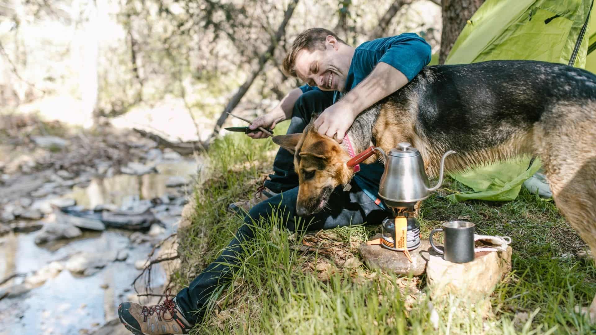 The Best DogFriendly Camping Spots in Australia CampingAussie