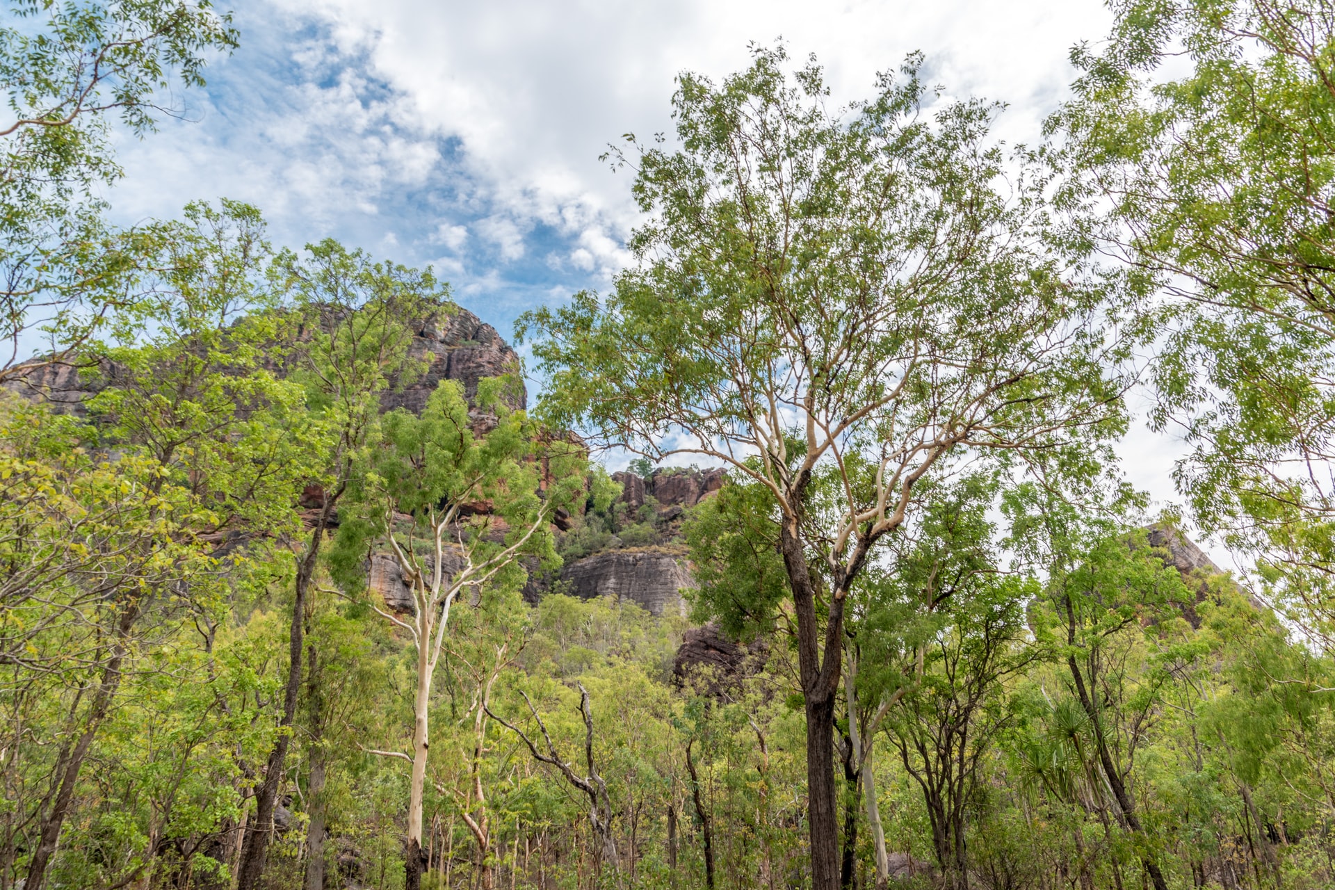 kakadu national park
