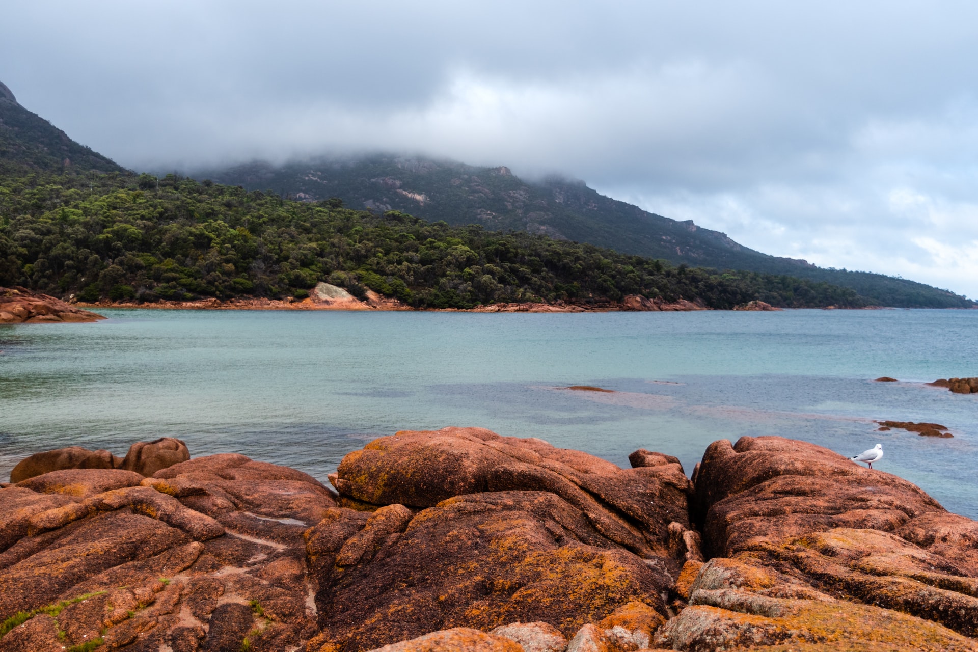 honeymoon bay