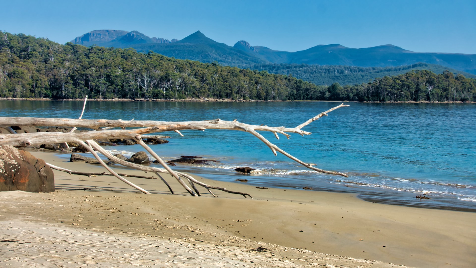 cockle creek tasmania