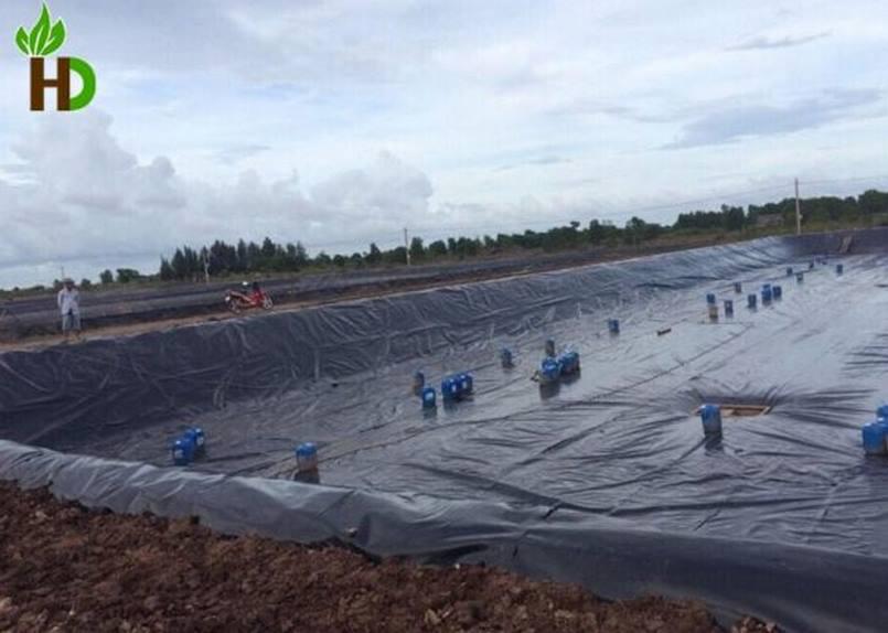 cac loai bat chong tham hdpe pho bien tren thi truong 6