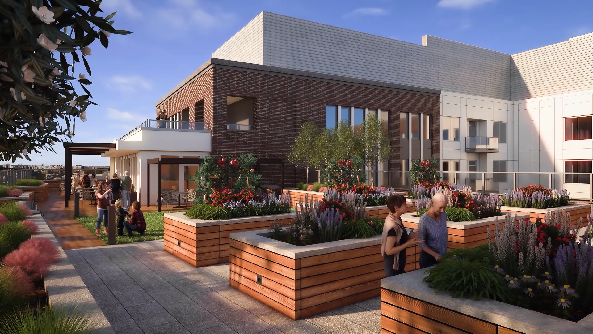 Rooftop Herb Garden