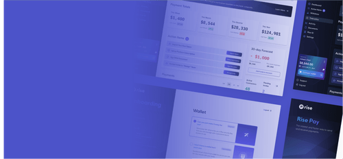 Simple Rising Platform Rise Payments & Compliance Platform