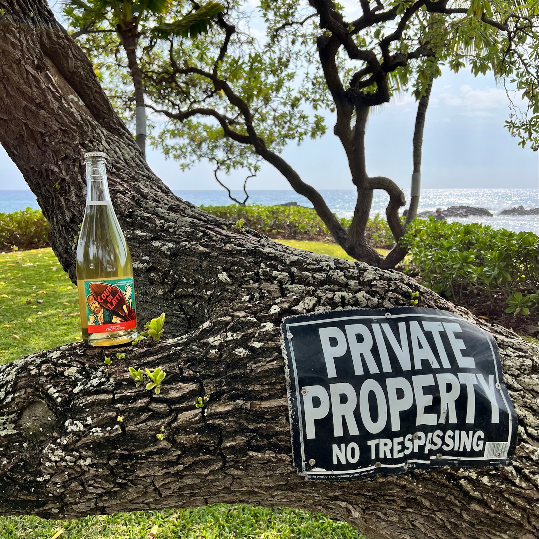 Hawaii Wines Natural Wine Club in Hawaii