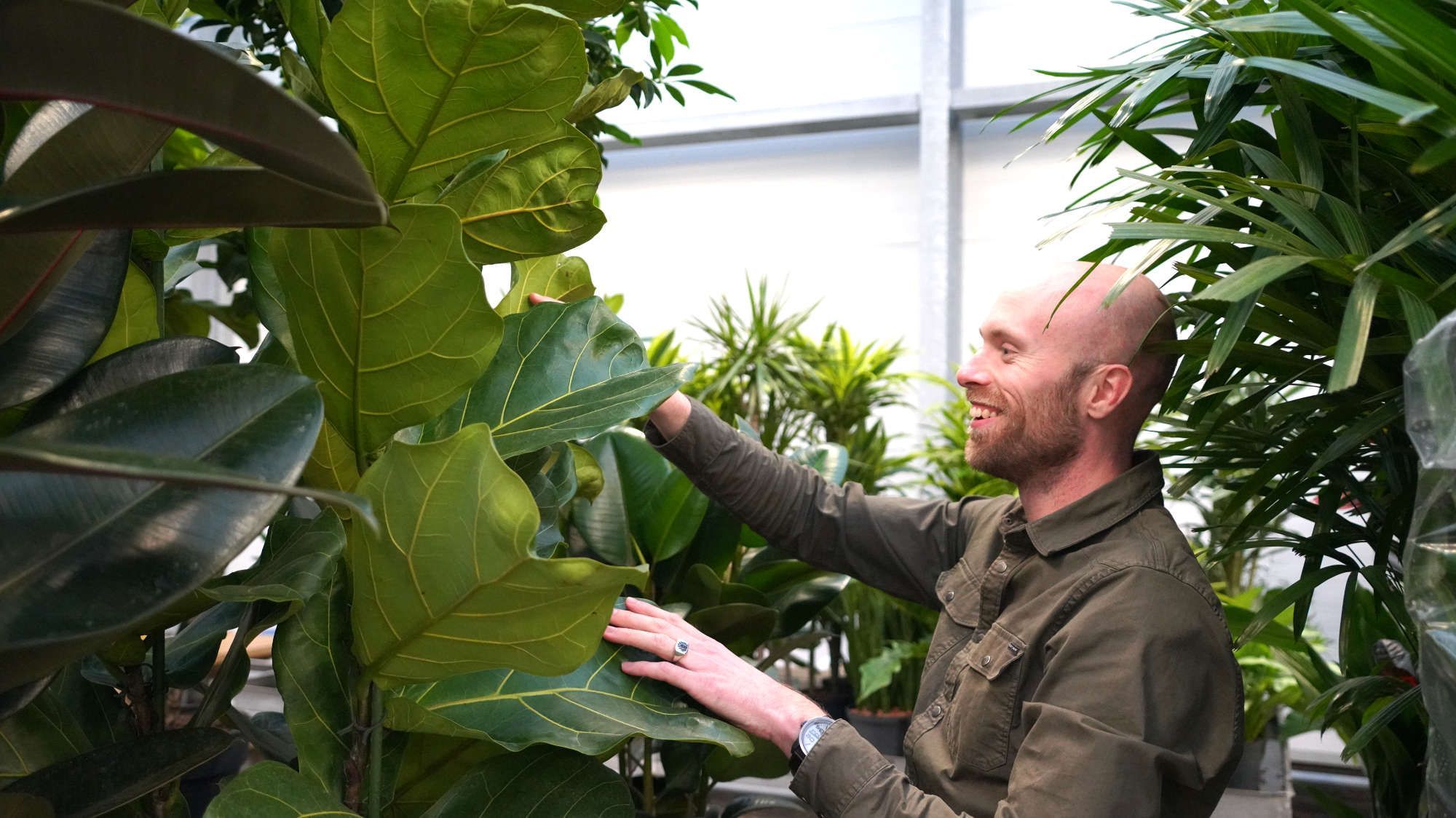 Logistiek: Planten per post