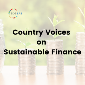 Building Bridges Captures Country Voices on Sustainable Finance