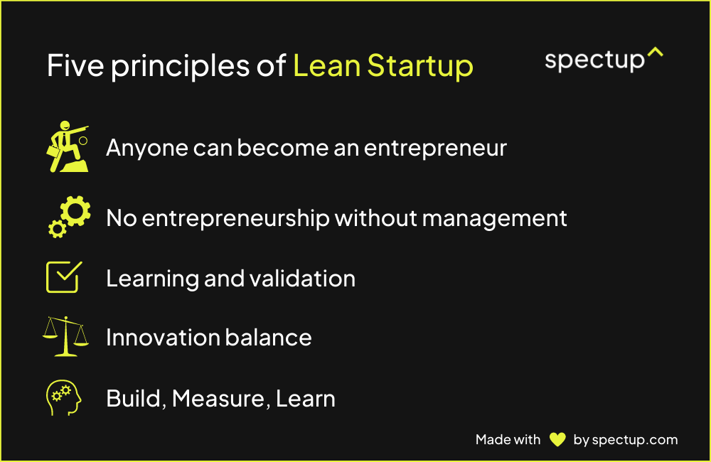 Five principles of Learn Startup