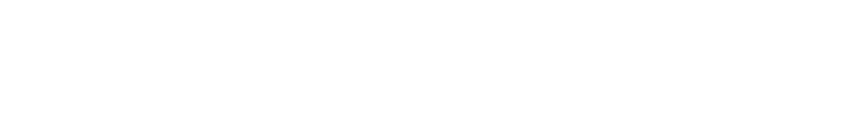 Brian Black Logo in White
