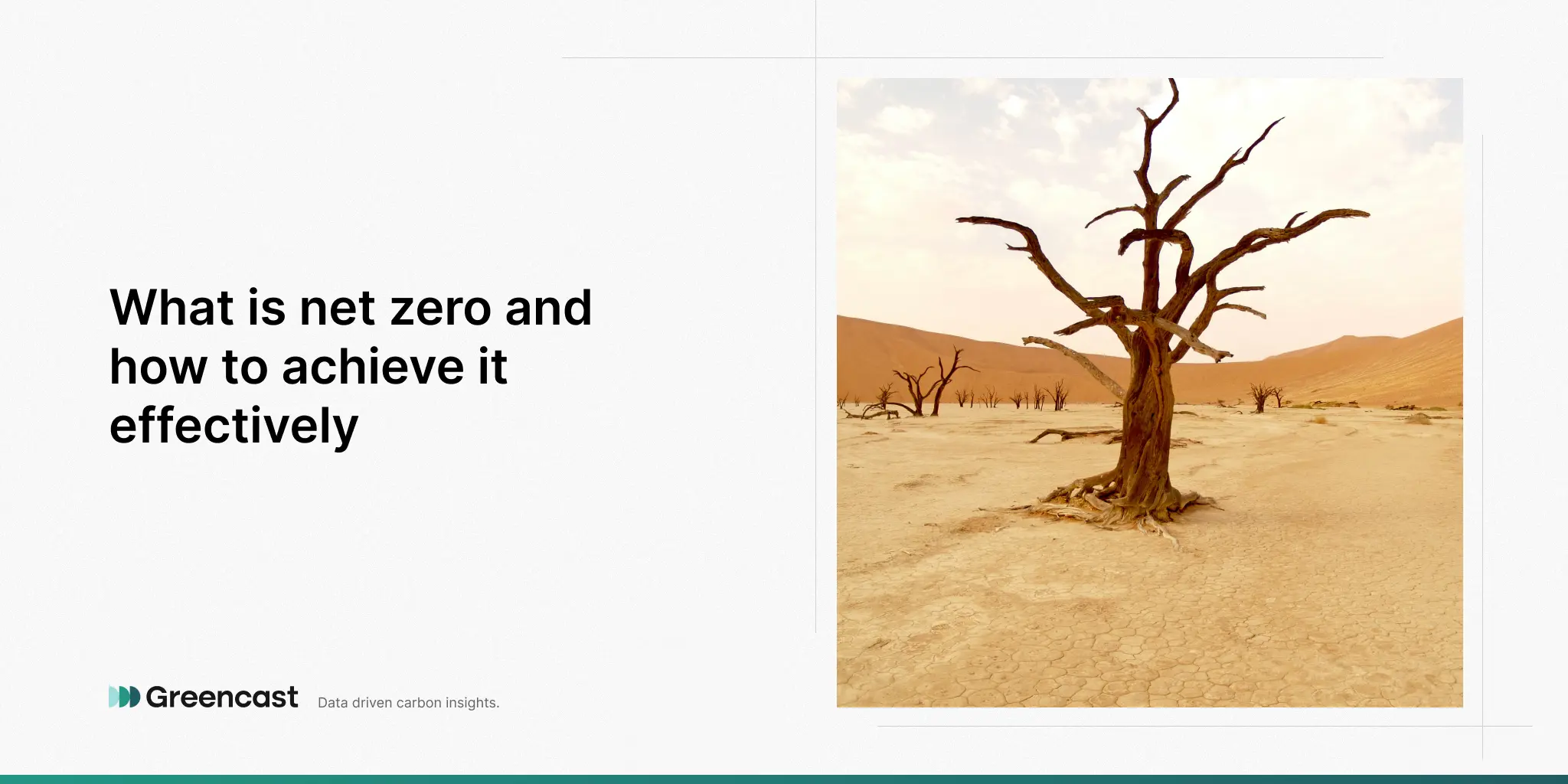What is net zero and how to achieve it effectively