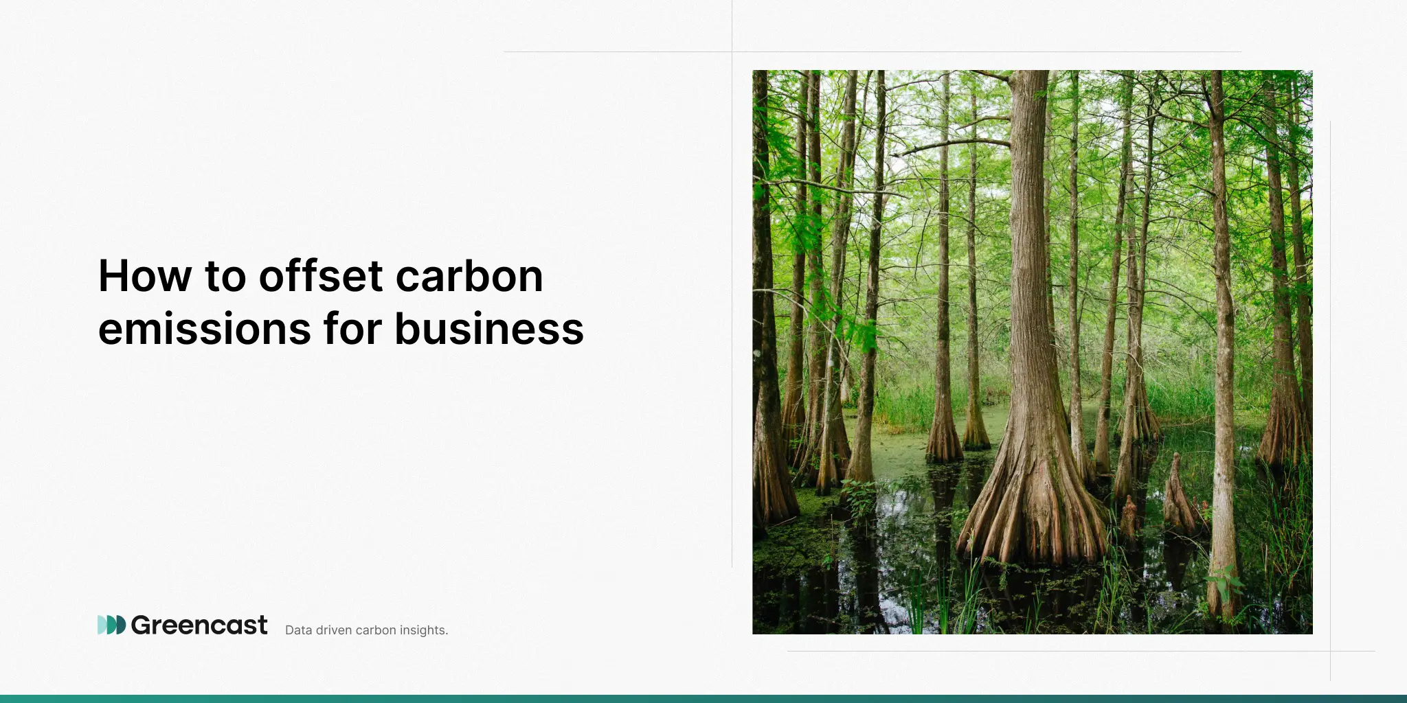 How to offset carbon emissions for business