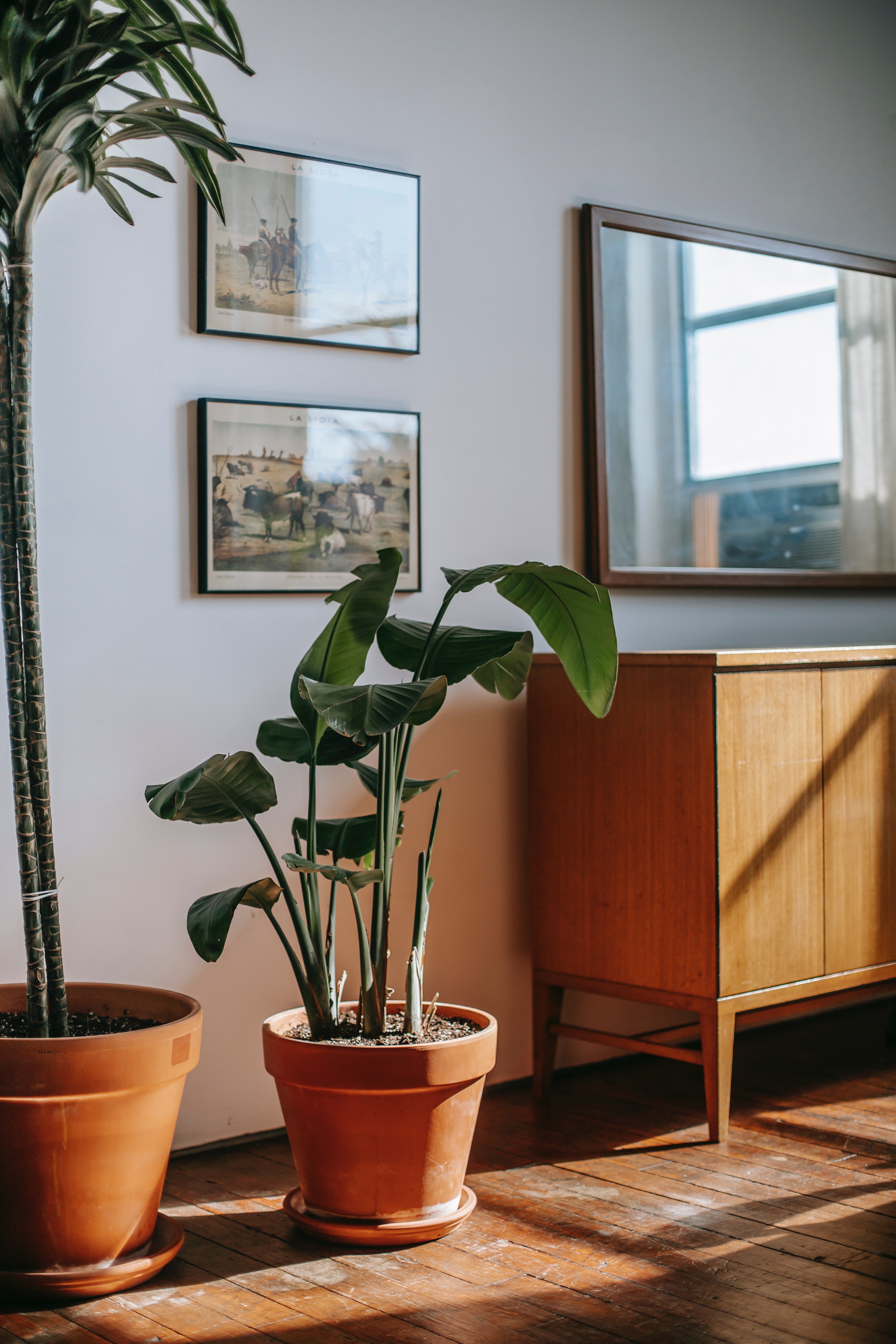 How to Prepare for Listing Photos