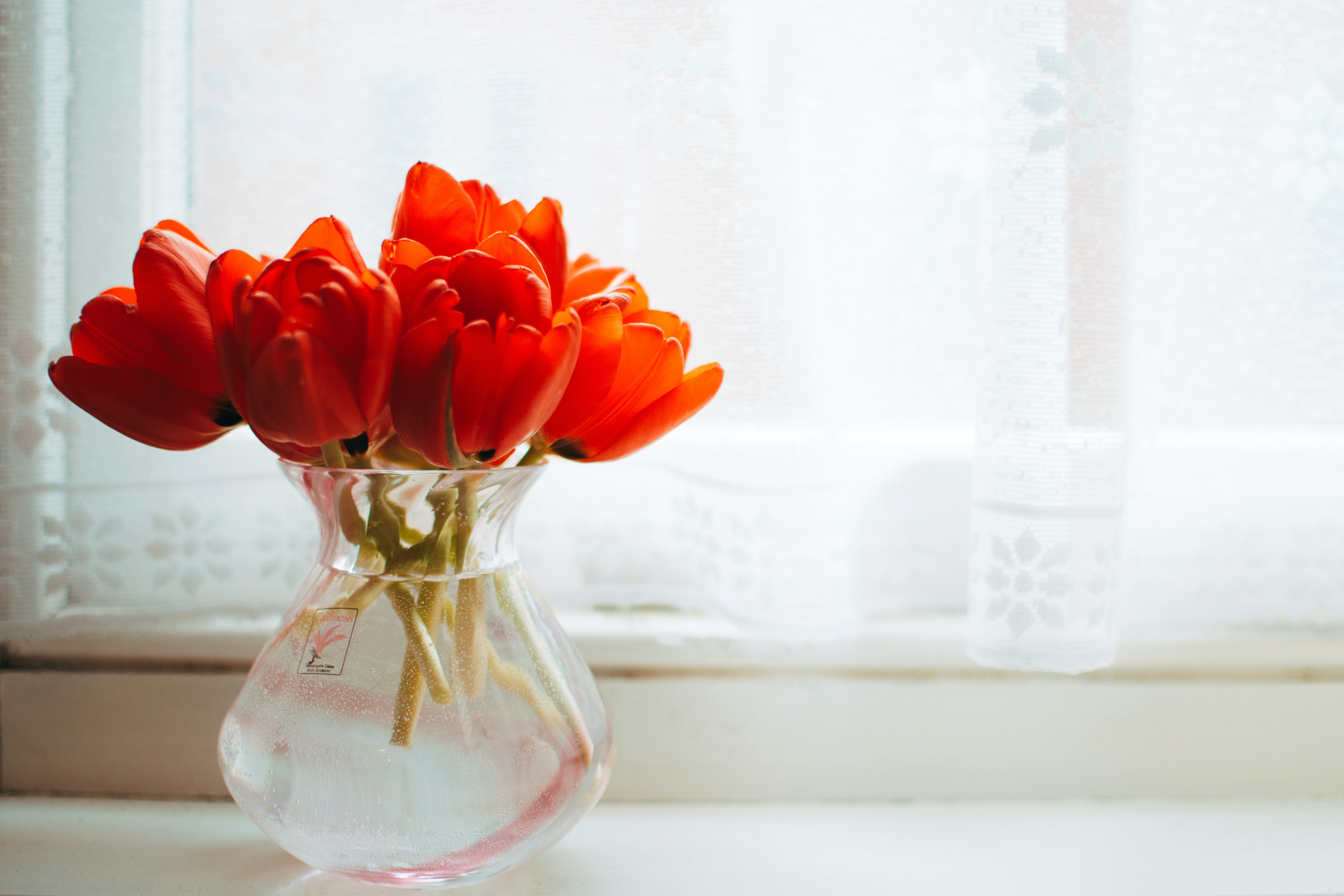Freshen Up Your Home for Spring